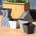 Untitled-1.webp