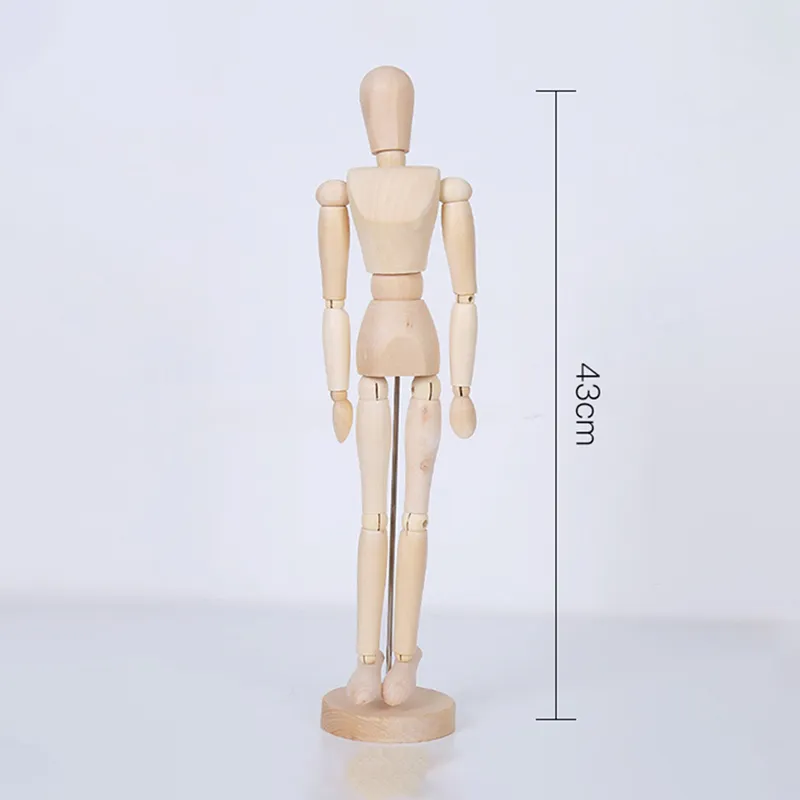 43cm.webp