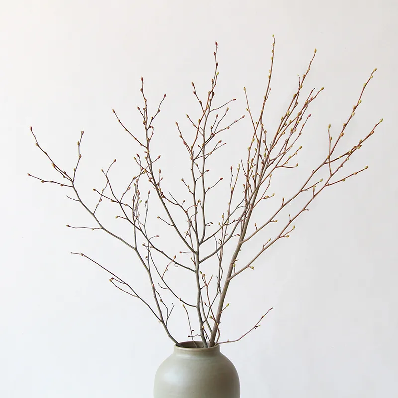 [UCD032] Branches De Bouleau (2 Branches)