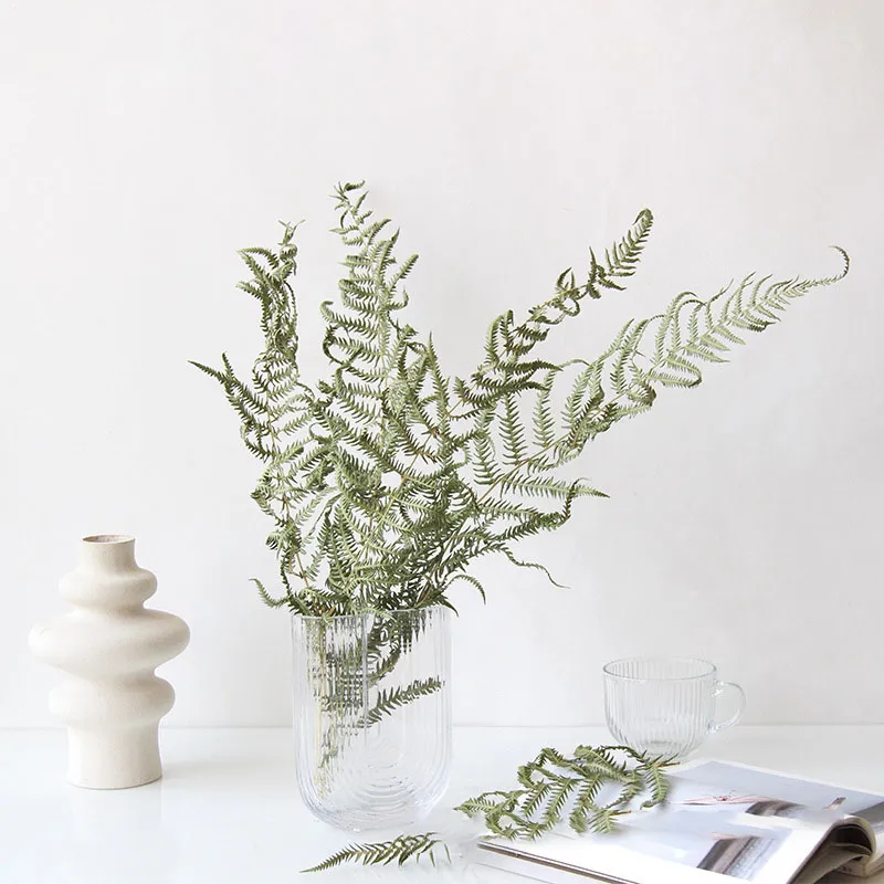 [UCP017] Fougères Séchées (5 Branches)