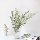 Fougères Séchées (5 Branches)