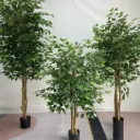 Ficus Artificiel