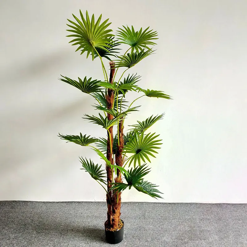 [UCP015L] Palmier Éventail Artificiel (160cm)