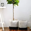 Panier En Corde De Coton Tissé Blanc/Noir