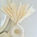 Petit Pampas (15 Tiges)