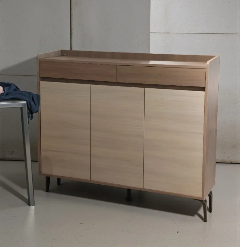 [UCE003] Meuble À Chaussures Moderne Avec 2 Tiroirs