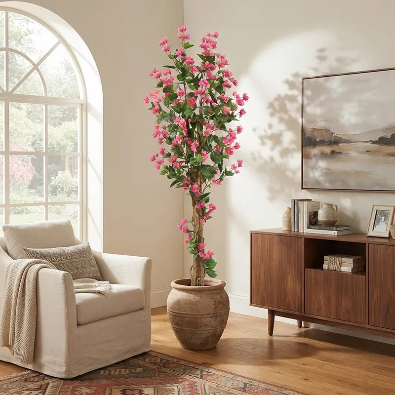 Arbre Bougainvillier Rose Touffu