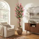 Arbre Bougainvillier Rose Touffu